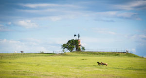 Creative Focus Photography